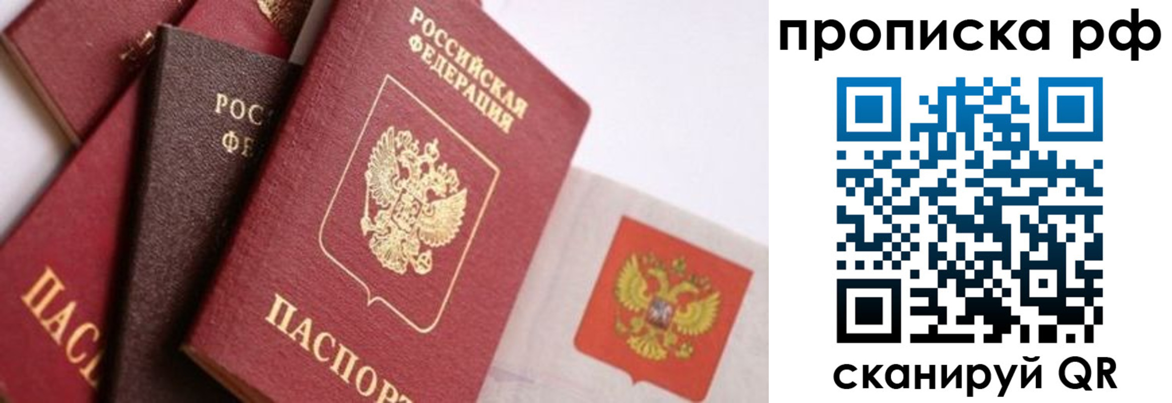 найти адрес прописки в Шуе